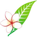 Lao Airlines
